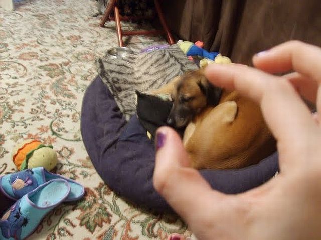 Look, I got it! (86 pics)