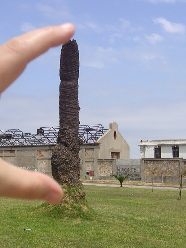 Look, I got it! (86 pics)