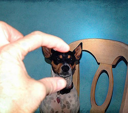 Look, I got it! (86 pics)