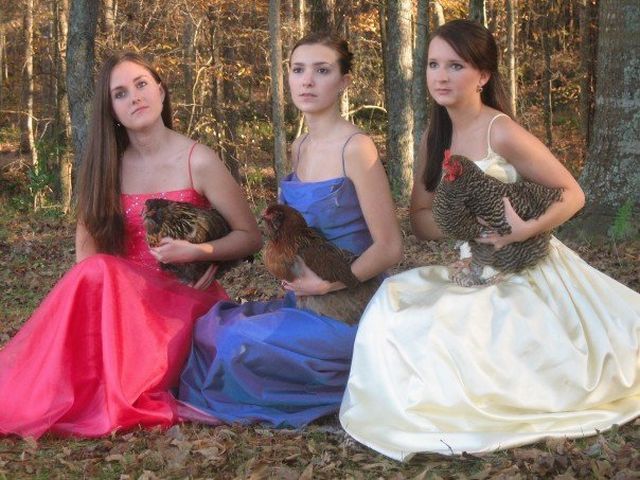 Awkward family photos. Part 2 (48 pics)