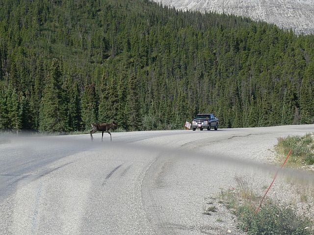 A small photo-journey to Alaska (34 pics)