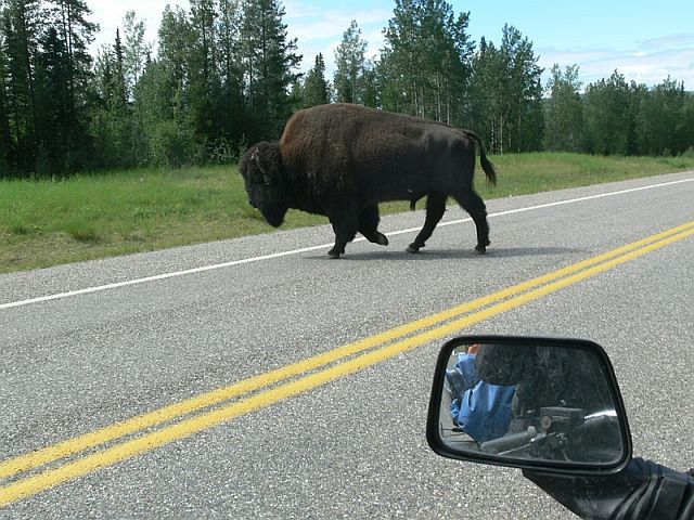 A small photo-journey to Alaska (34 pics)