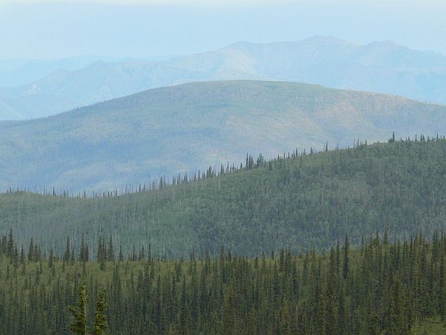 A small photo-journey to Alaska (34 pics)
