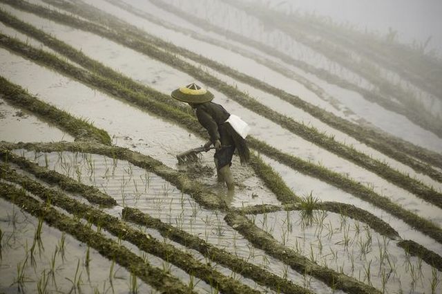 Life in modern China (56 pics)