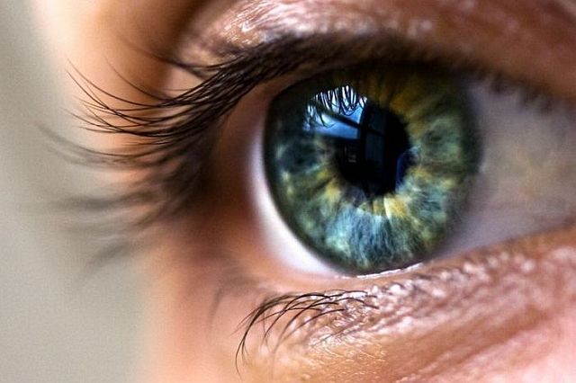 Macro photography. The best of the best (85 pics)