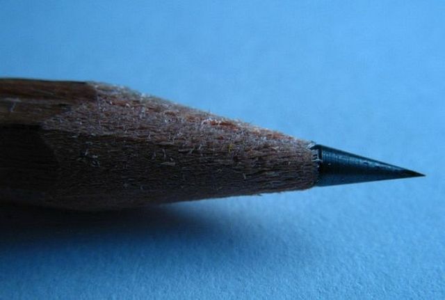 Macro photography. The best of the best (85 pics)