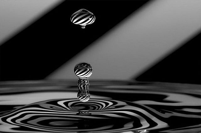 Macro photography. The best of the best (85 pics)
