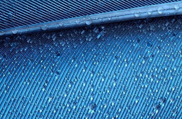 Macro photography. The best of the best (85 pics)