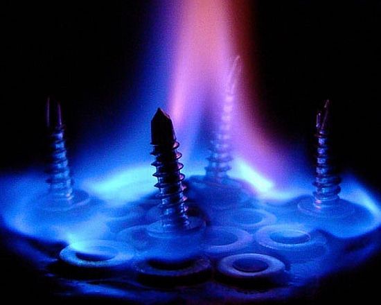 Macro photography. The best of the best (85 pics)
