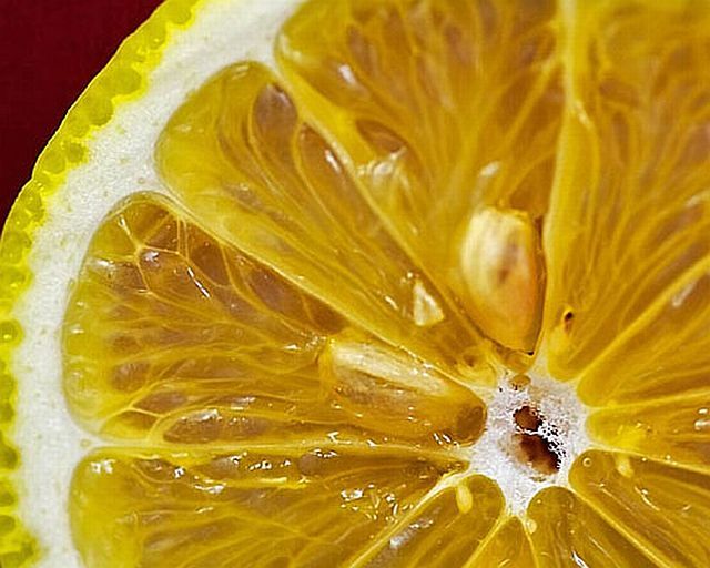 Macro photography. The best of the best (85 pics)