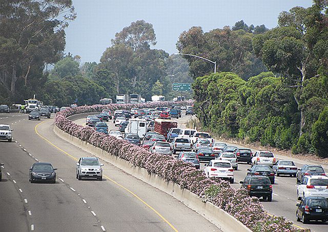 Incident on Highway 101 (10 pics)