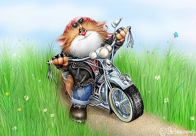 Funny cat drawings (24 pics)