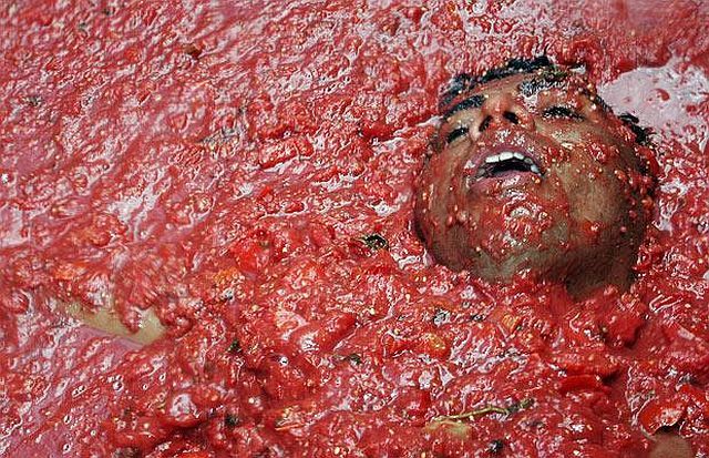Tomato mess (27 pics)