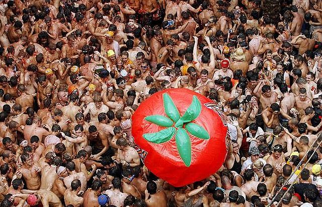 Tomato mess (27 pics)