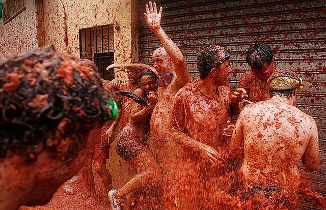 Tomato mess (27 pics)