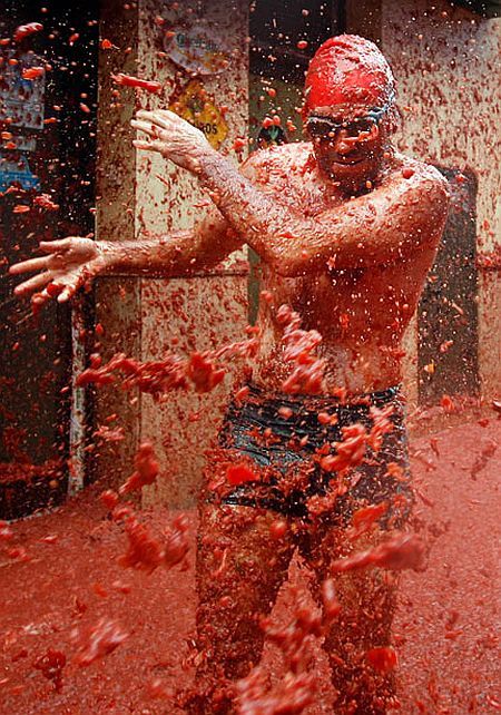 Tomato mess (27 pics)