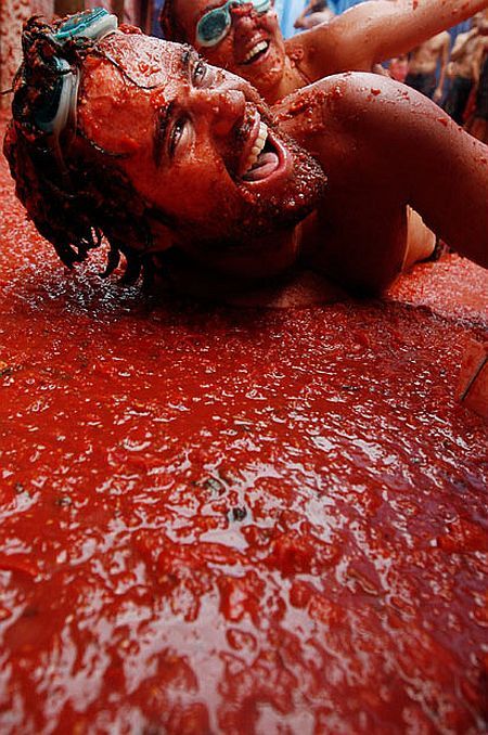 Tomato mess (27 pics)