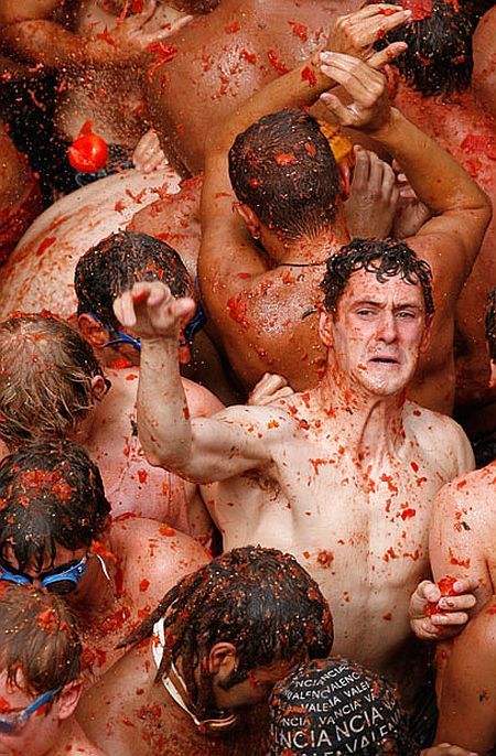 Tomato mess (27 pics)