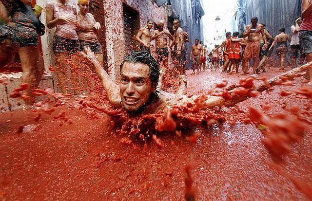 Tomato mess (27 pics)