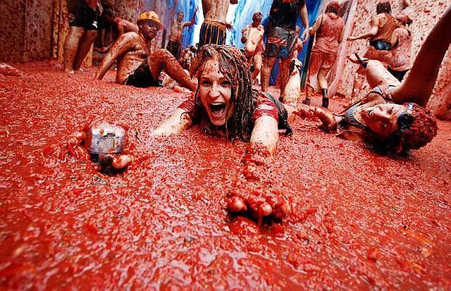 Tomato mess (27 pics)