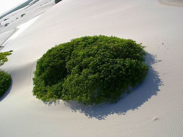 Great landscapes seen from above (39 pics)