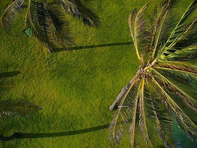Great landscapes seen from above (39 pics)