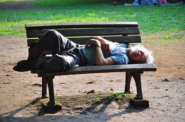 People are sleeping everywhere (27 pics)