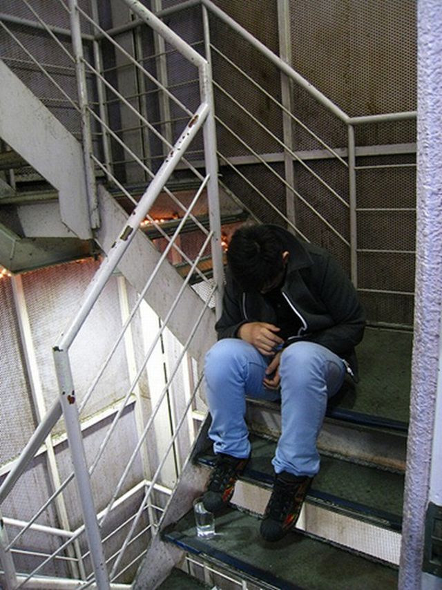 People are sleeping everywhere (27 pics)
