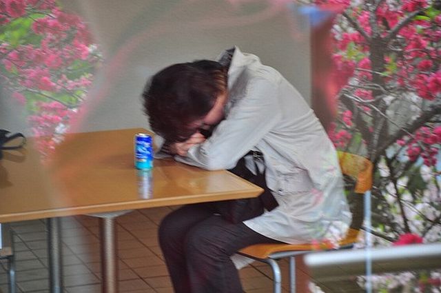People are sleeping everywhere (27 pics)