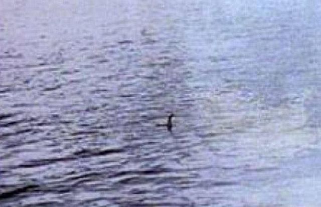 The Loch Ness Monster spotted by Google Earth? (15 pics)