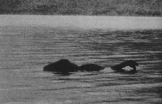The Loch Ness Monster spotted by Google Earth? (15 pics)