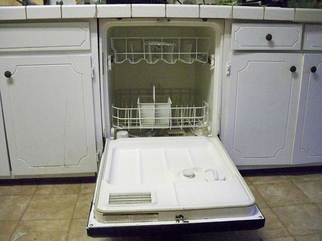 Very unusual way of cooking fish in a dishwasher (8 pics)
