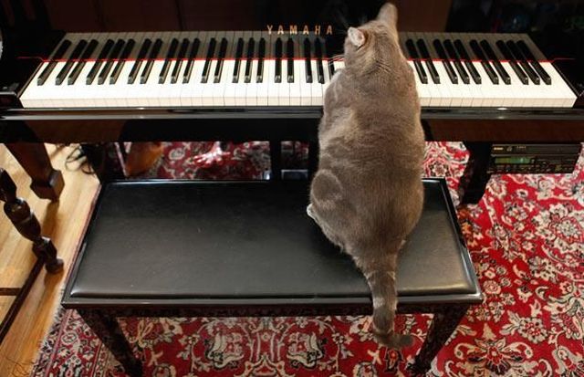 Daily picdump (102 pics)