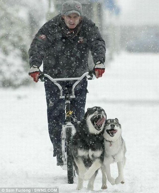 Daily picdump (102 pics)
