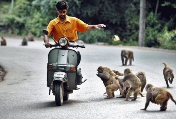 Daily picdump (102 pics)