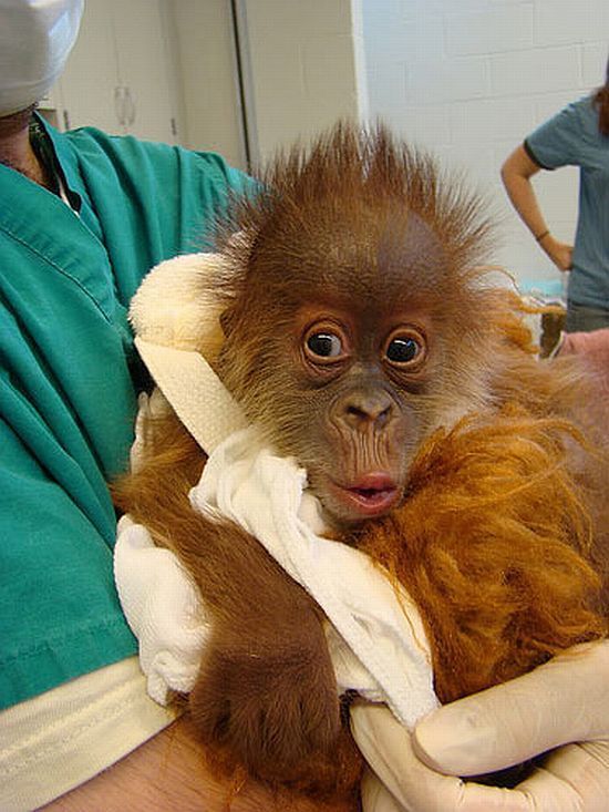 Daily picdump (102 pics)