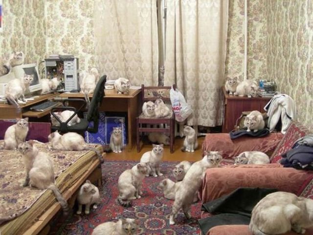 Daily picdump (102 pics)