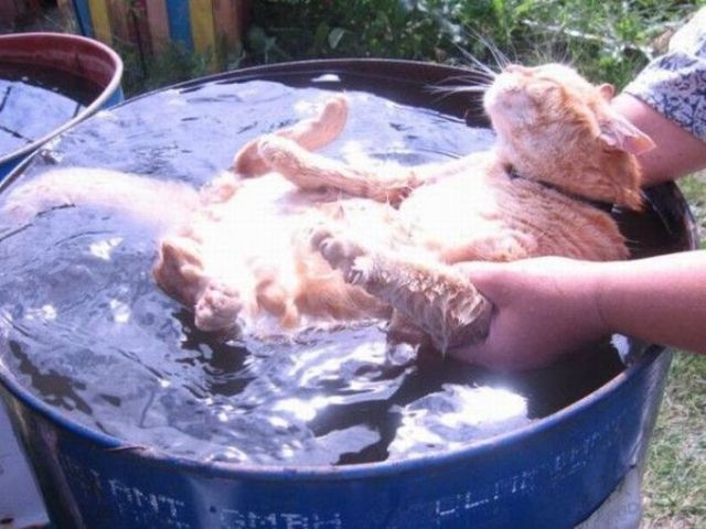 Daily picdump (102 pics)