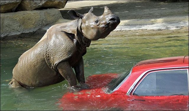 Daily picdump (102 pics)