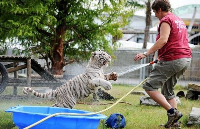Daily picdump (102 pics)