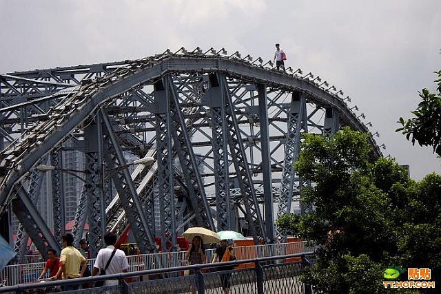 Interesting suicidal “show” on the bridge (9 pics)
