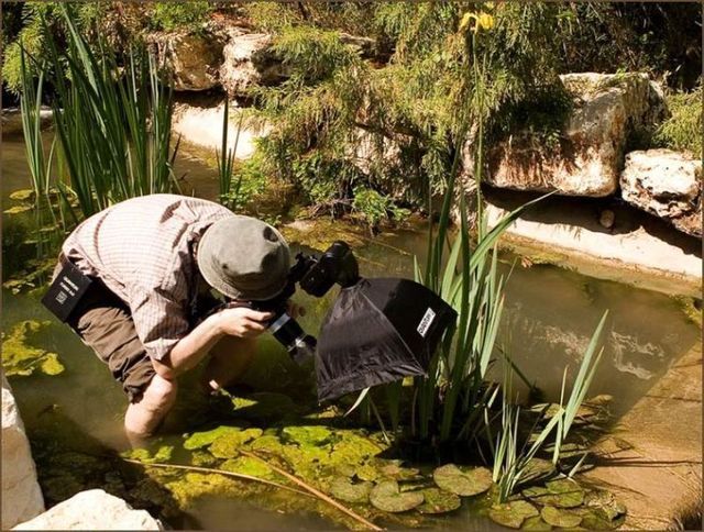 These amusing photographers (52 pics)