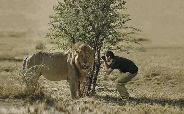 These amusing photographers (52 pics)