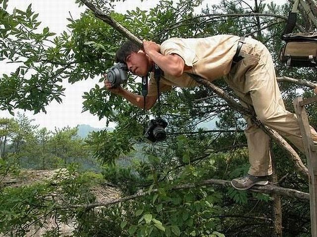 These amusing photographers (52 pics)