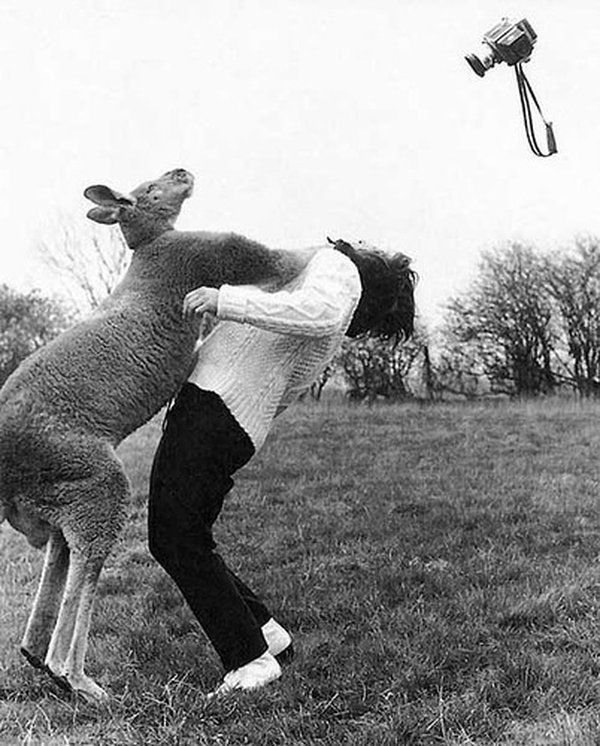 These amusing photographers (52 pics)