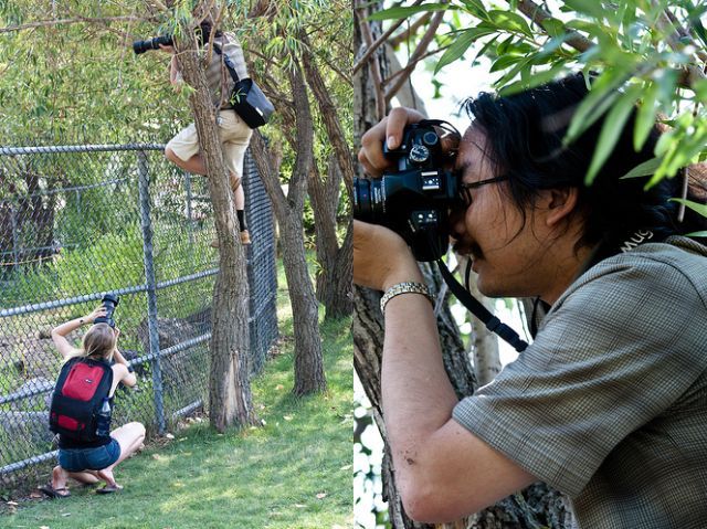 These amusing photographers (52 pics)