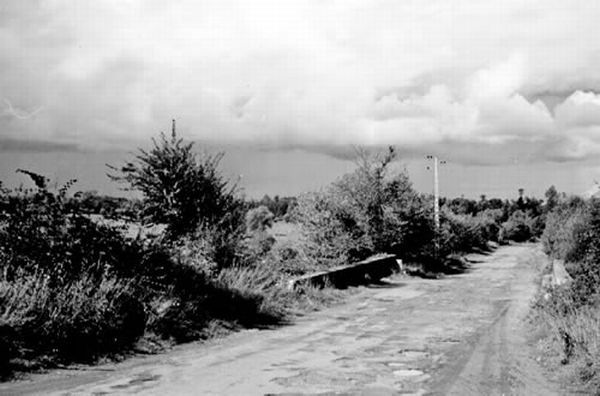 Normandy during WW2 and now (204 pics)