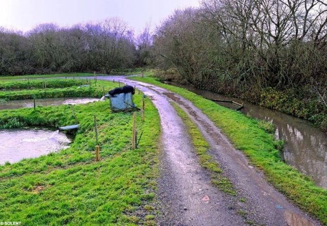 The incredible story of “farm break” (3 pics)