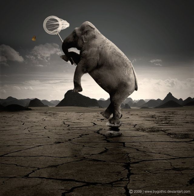 Photo manipulation is just great (52 pics)