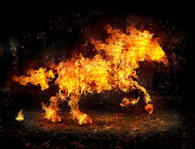Photo manipulation is just great (52 pics)